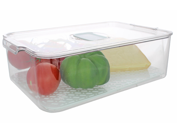 parma-plastic-fridge-food-container-transparent-33cm-x-21-5cm-x-10cm