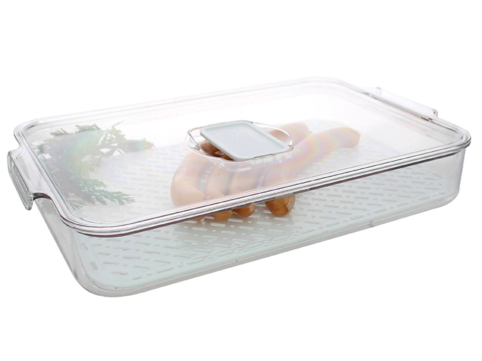 parma-plastic-fridge-food-container-transparent-33cm-x-21-5cm-x-5-5-cm