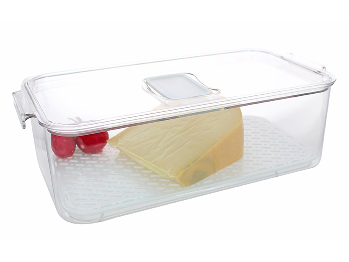 parma-plastic-fridge-food-container-transparent-32cm-x-16-5cm-x-10cm