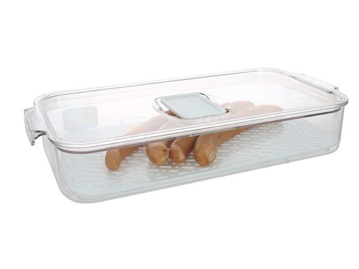 parma-plastic-fridge-food-container-transparent-32cm-x-16-5cm-x-6cm