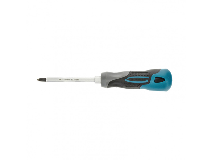 gross-screwdriver-with-three-component-handle-2-x-100-mm