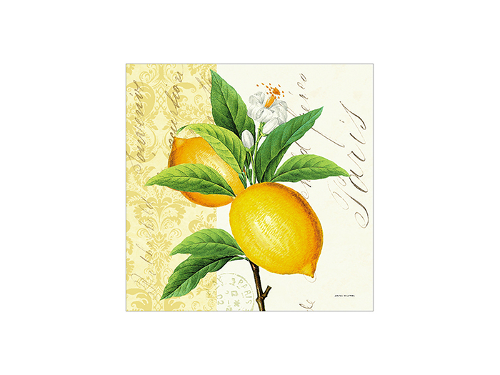 susy-card-3-ply-napkins-lemon-design-33cm-x-33cm-pack-of-20-pieces