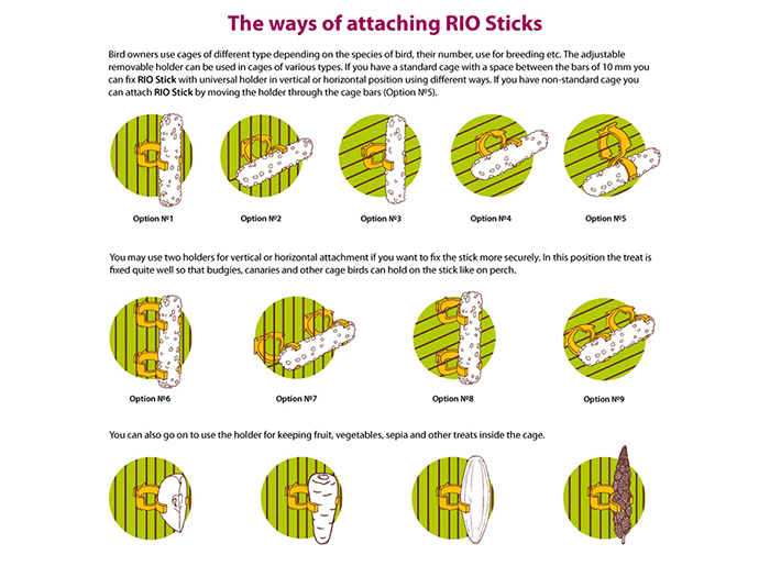 rio-sticks-for-all-types-of-birds-with-eggs-and-seashells