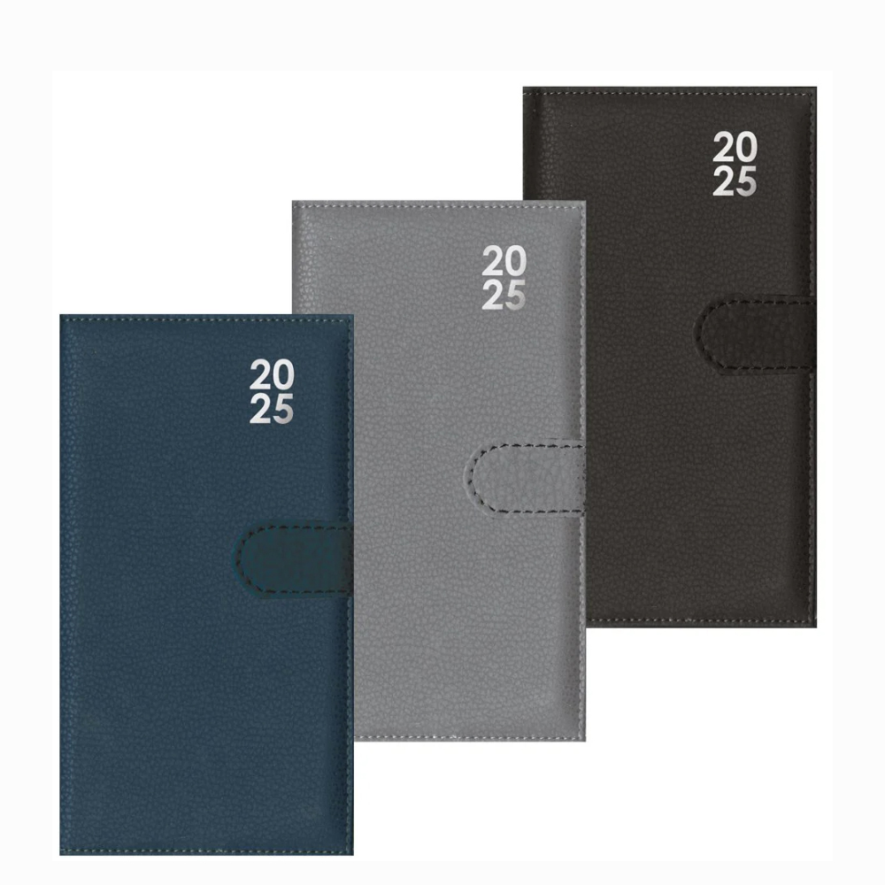 slim-diary-2025-with-pen-3-assorted-colours