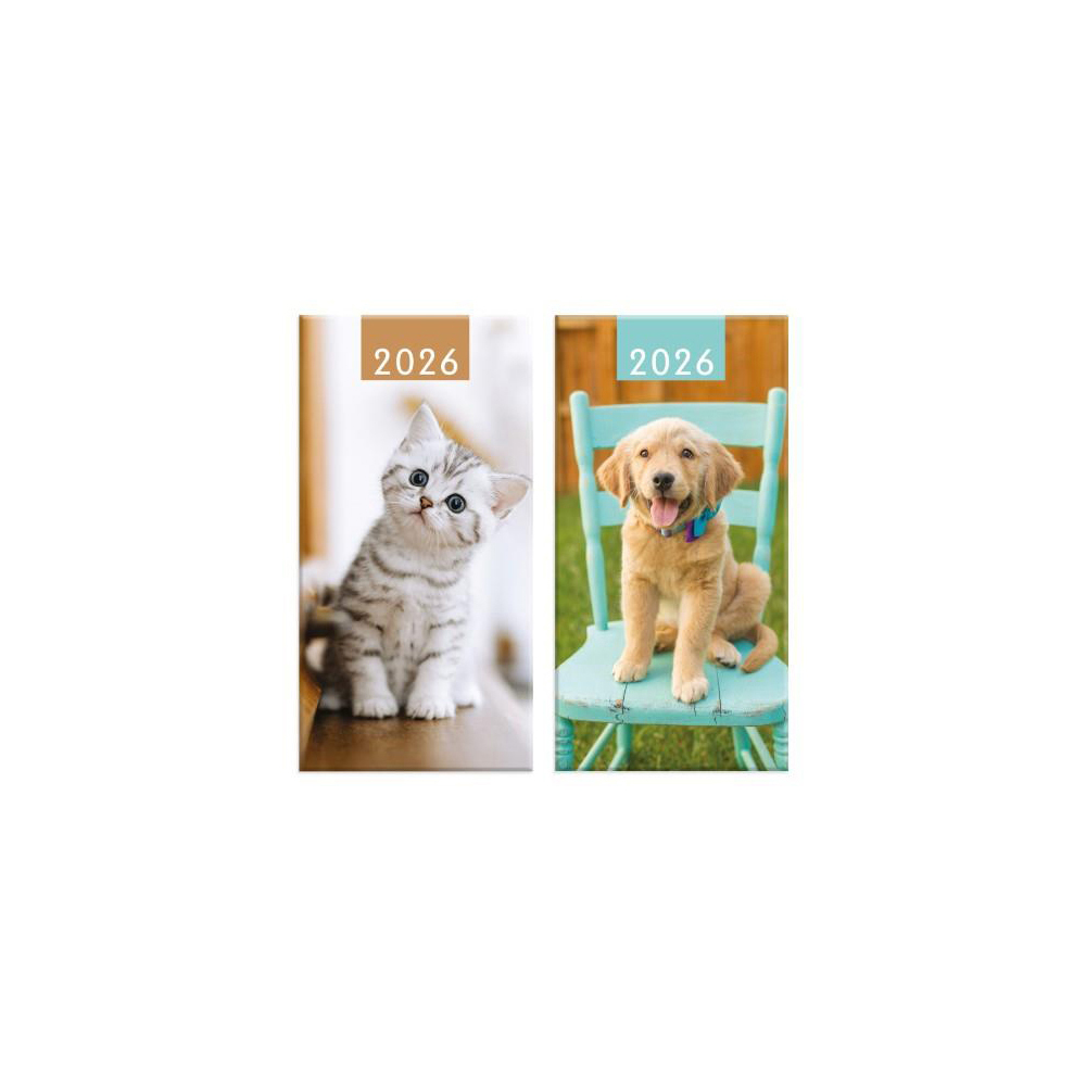 slim-week-2026-diary-fashion-2-assorted-designs
