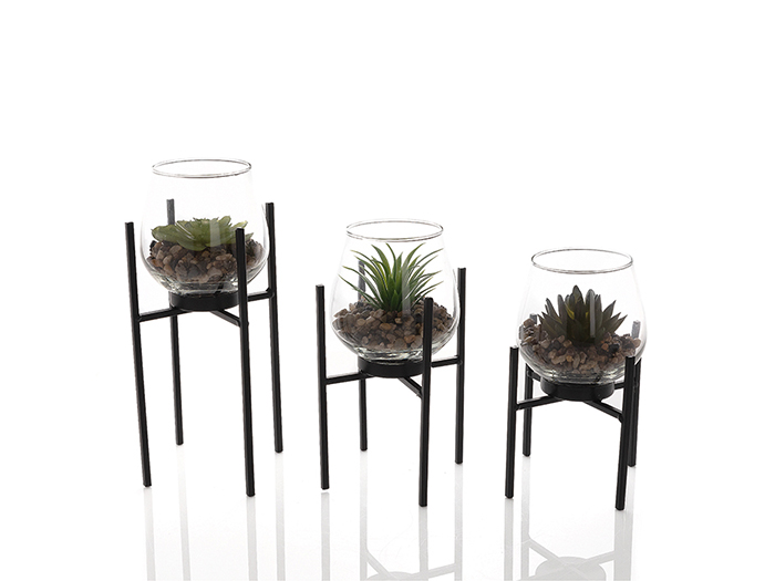 glass-planters-with-succulents-set-of-3-pieces