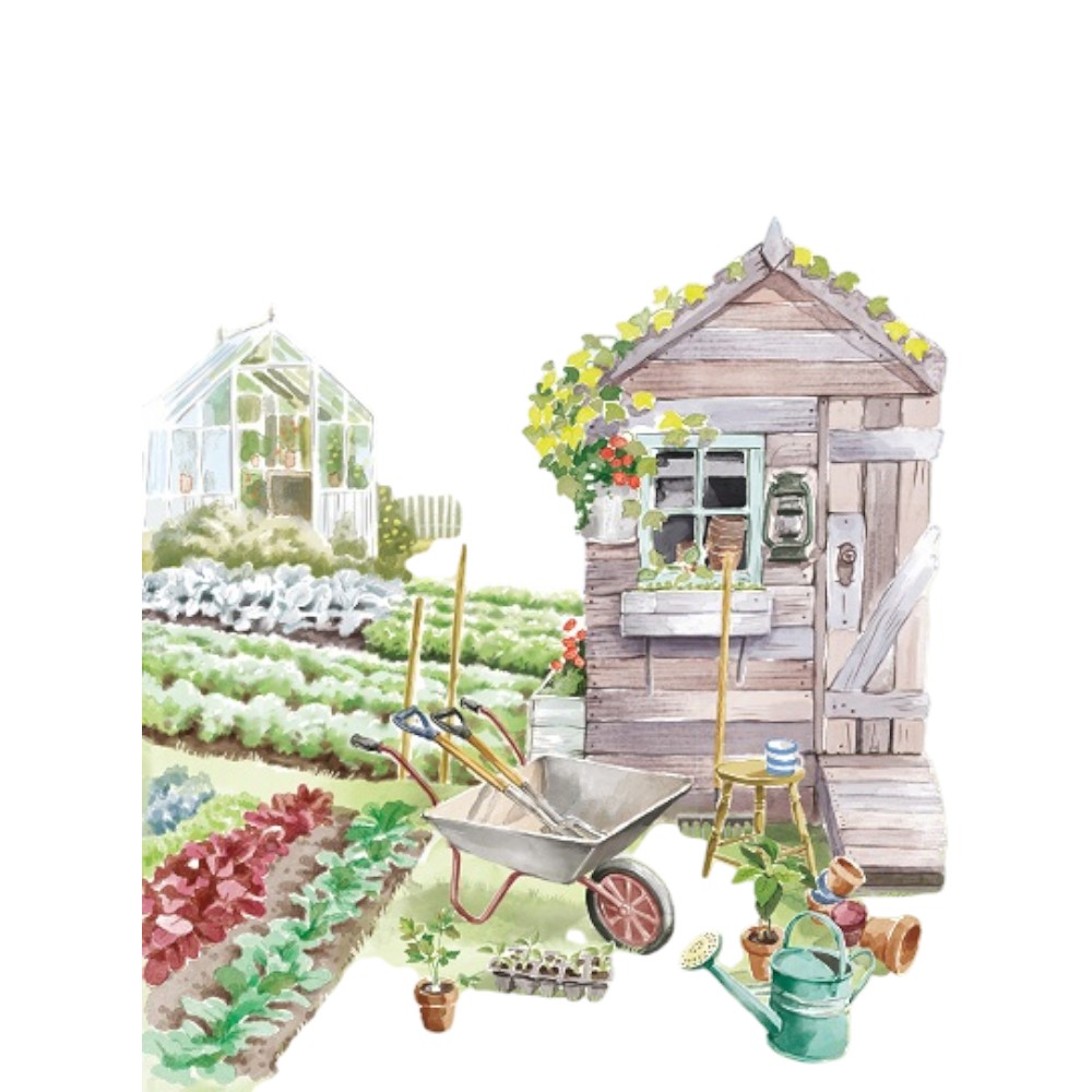 gardening-shed-greenhouse-allotment-greeting-card