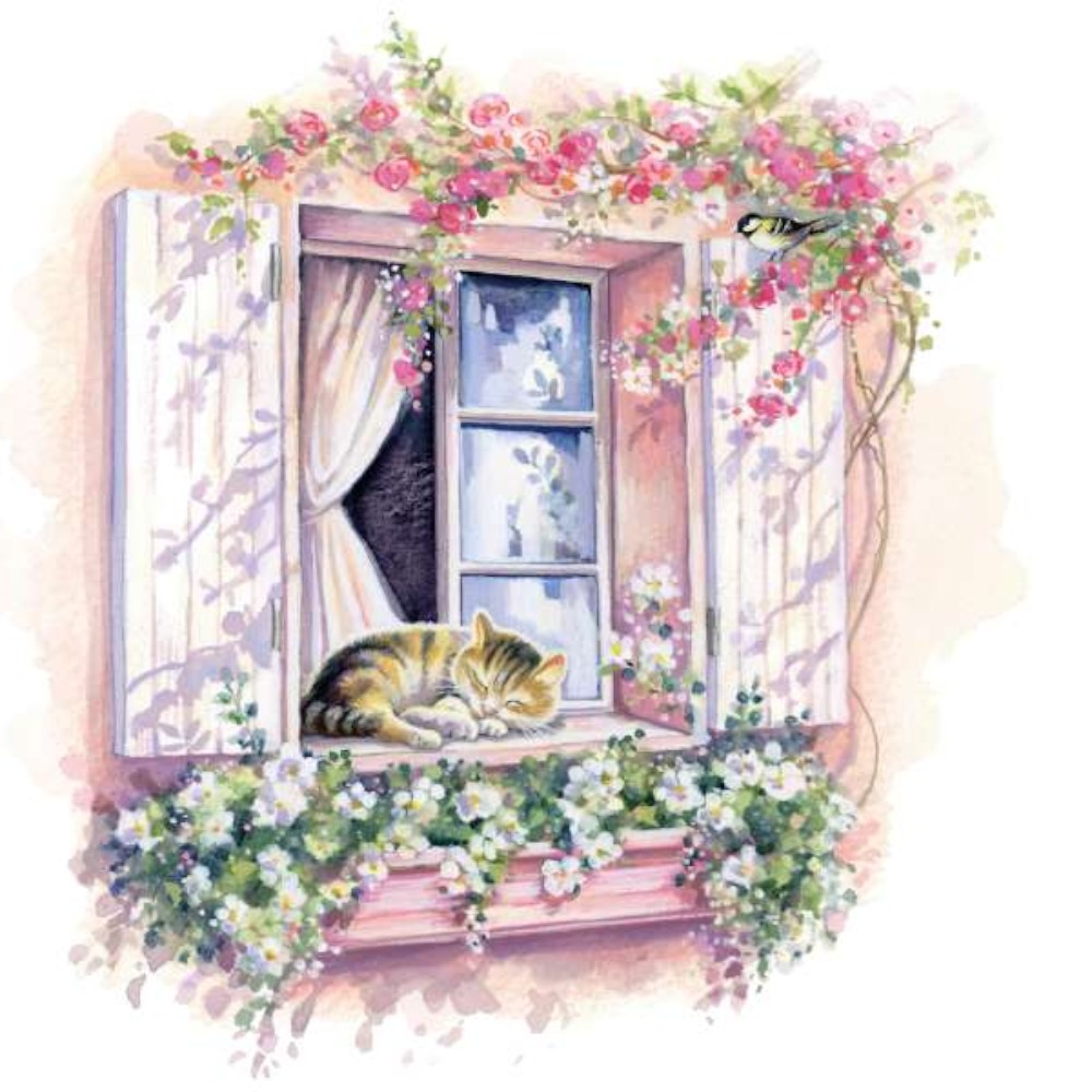 sleeping-cat-window-greeting-card