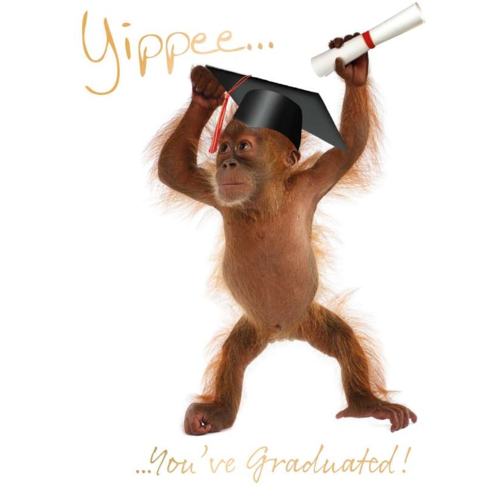 graduation-greeting-card-yippee-orangutan