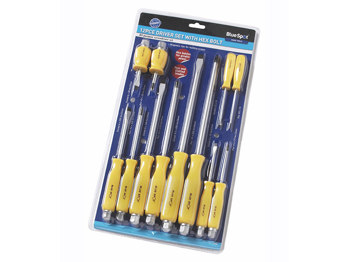 blue-screwdriver-with-hex-set-of-12-pieces