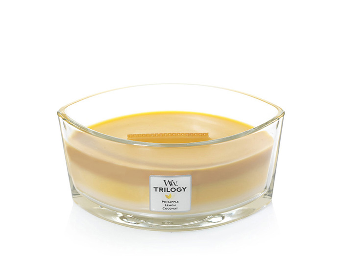woodwick-trilogy-ellipse-candle-fruits-of-summer