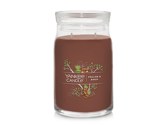 yankee-candle-signature-large-candle-jar-praline-birch-566g
