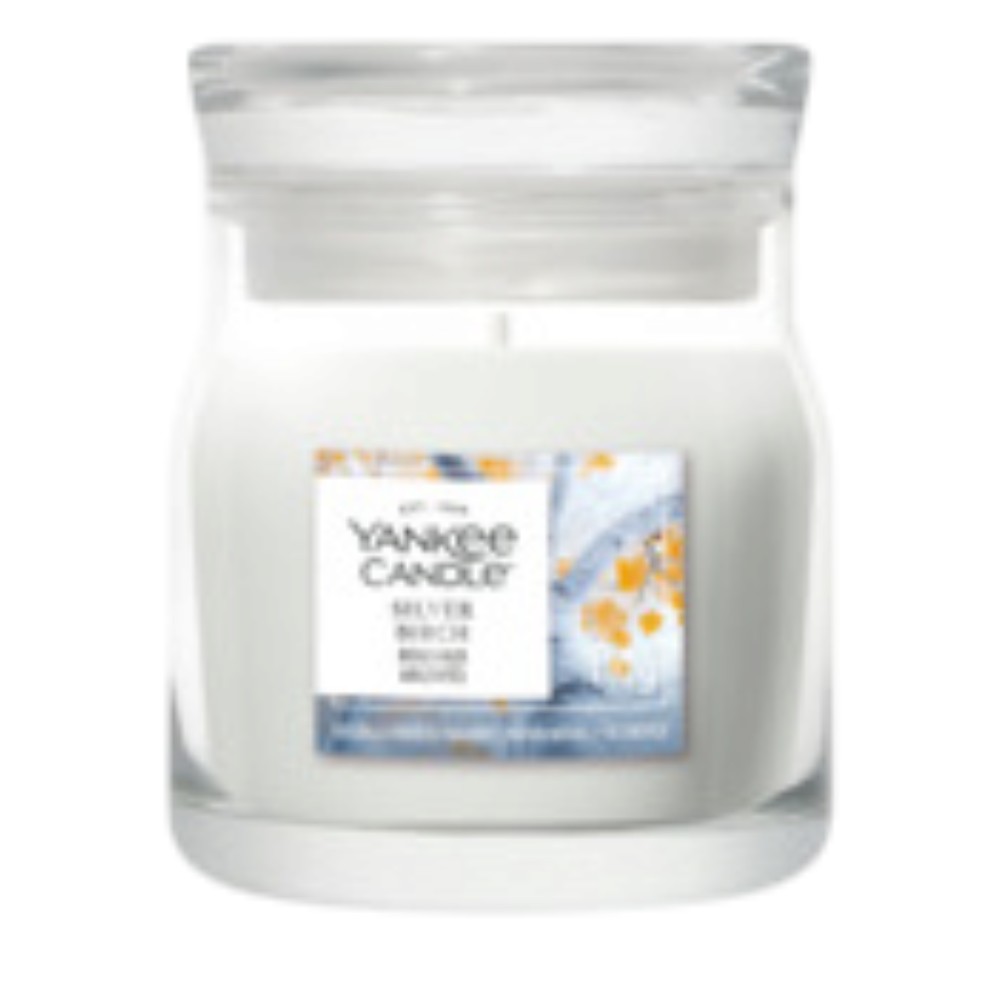 yankee-candle-signature-small-jar-scented-candle-–-silver-birch-122g