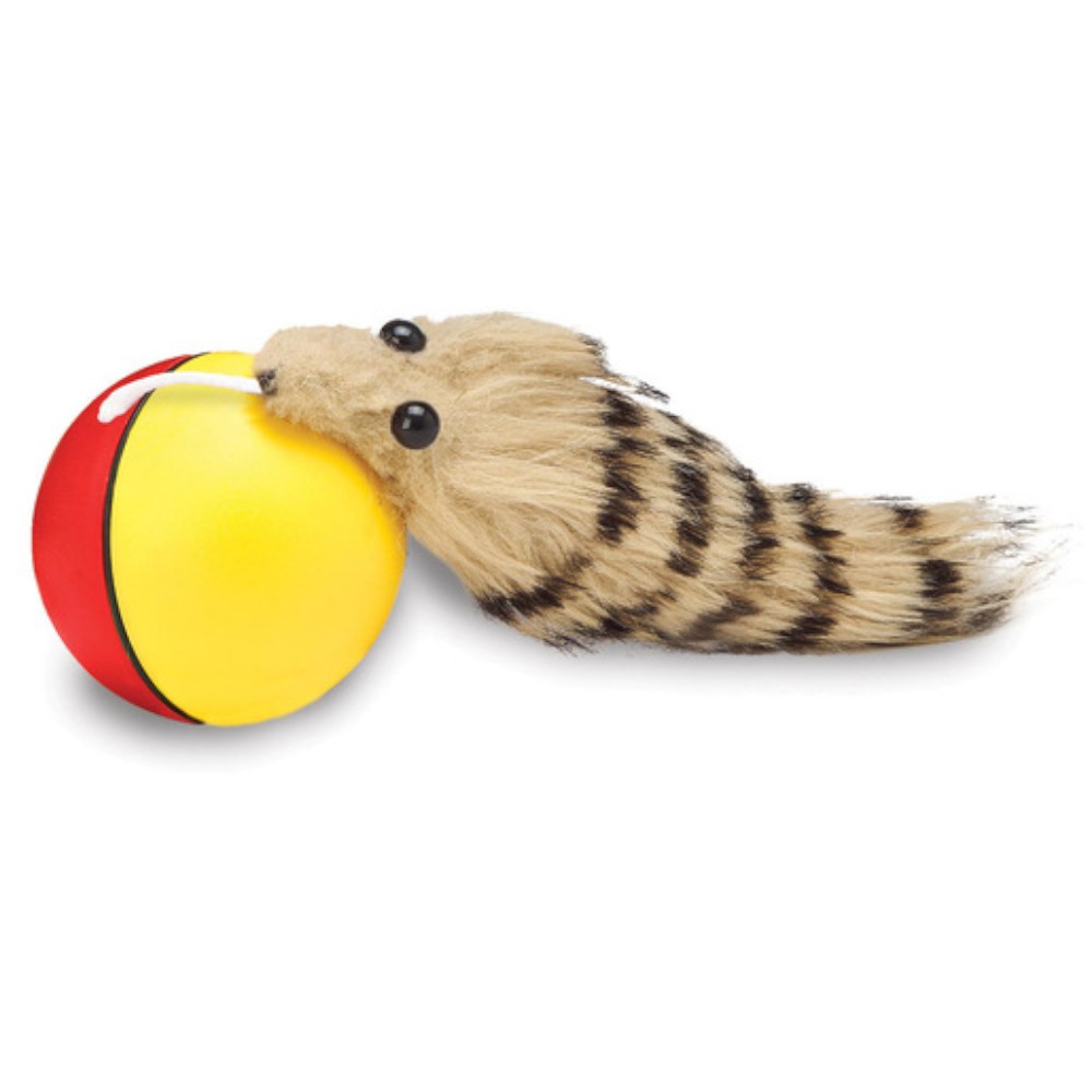 action-toy-ferret-and-ball