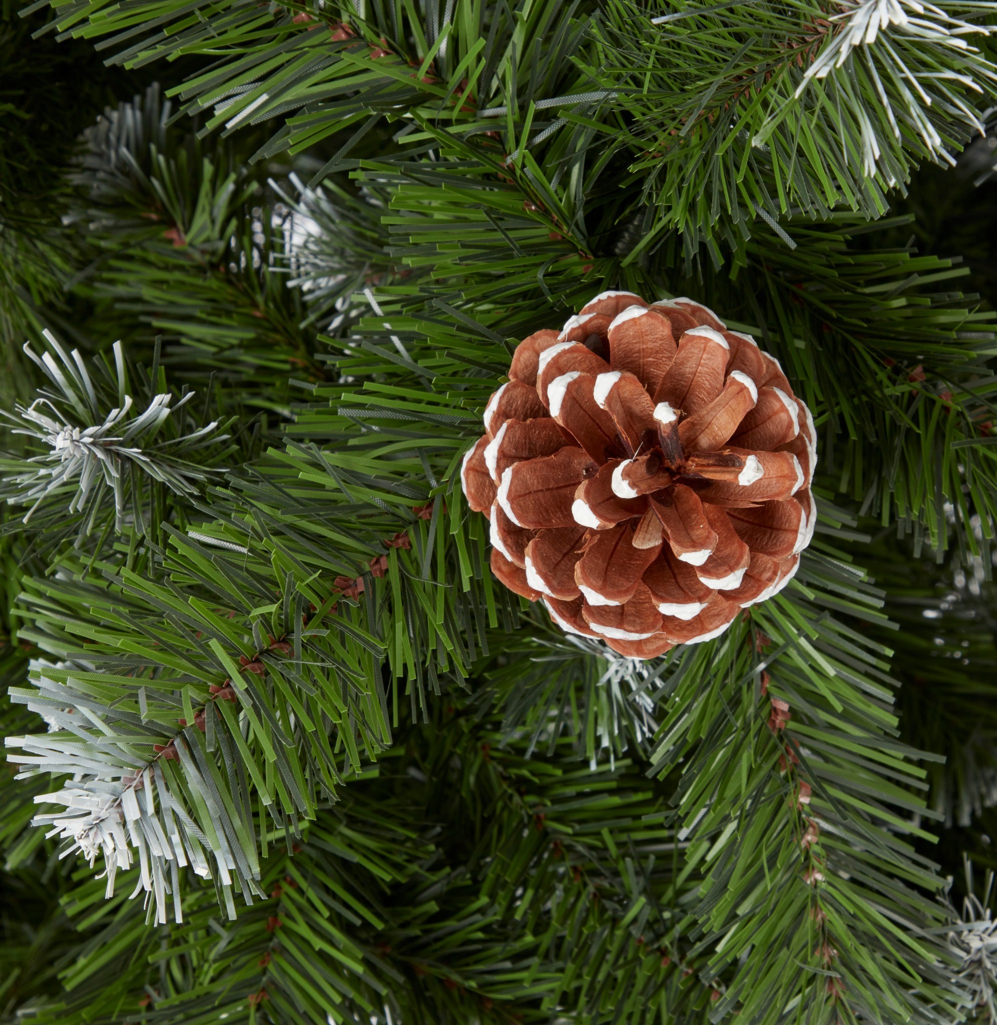 7ft-corbier-tree