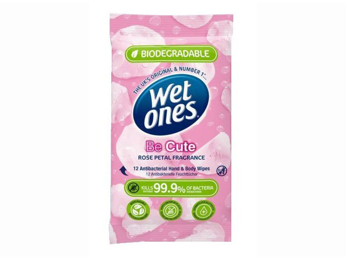 wet-ones-be-cute-antibacterial-wipes-in-rose-petal-fragrance-pack-of-12