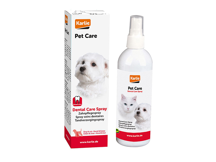 dental-care-spray-175ml