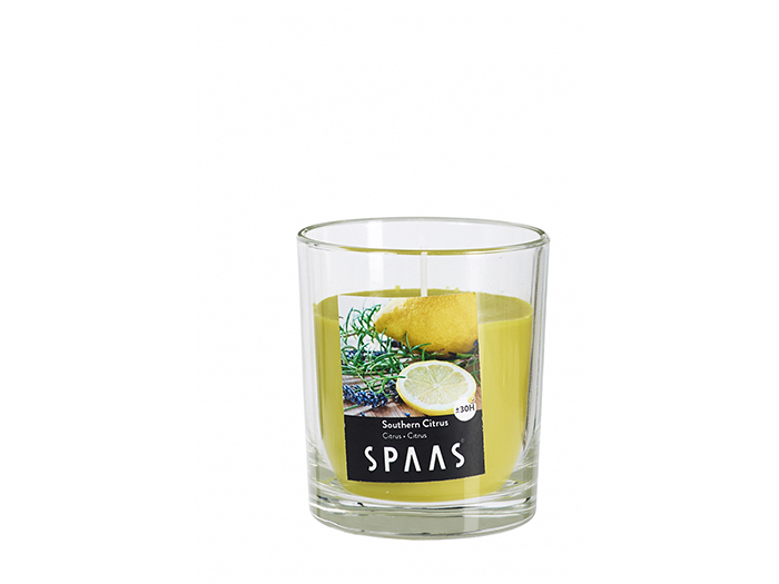 spaas-southern-citrus-candle-in-glass