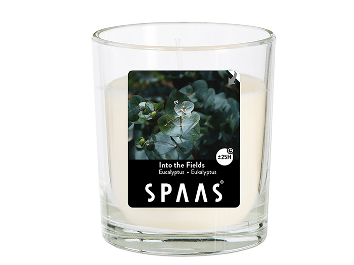 spaas-glass-candle-jar-into-the-fields-fragrance-322g