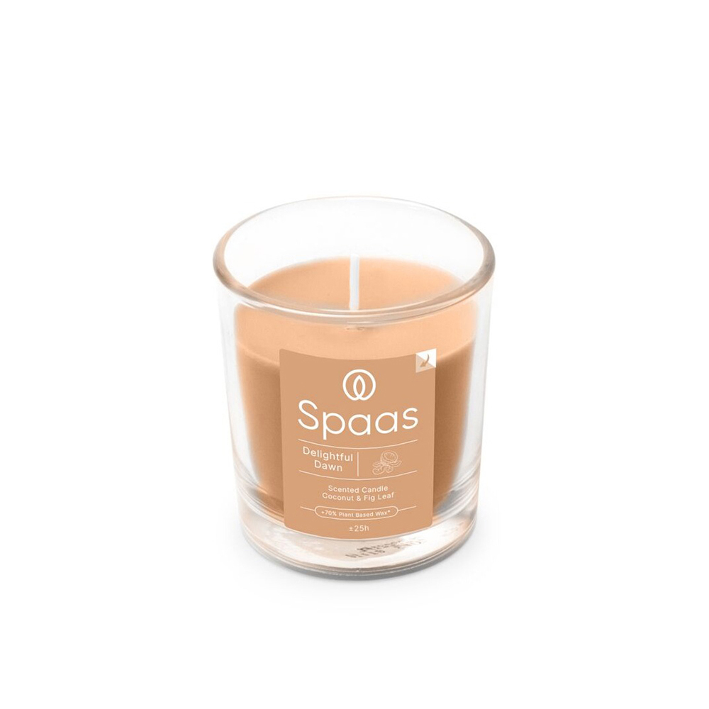 spaas-coconut-fig-leaf-glass-candle-jar
