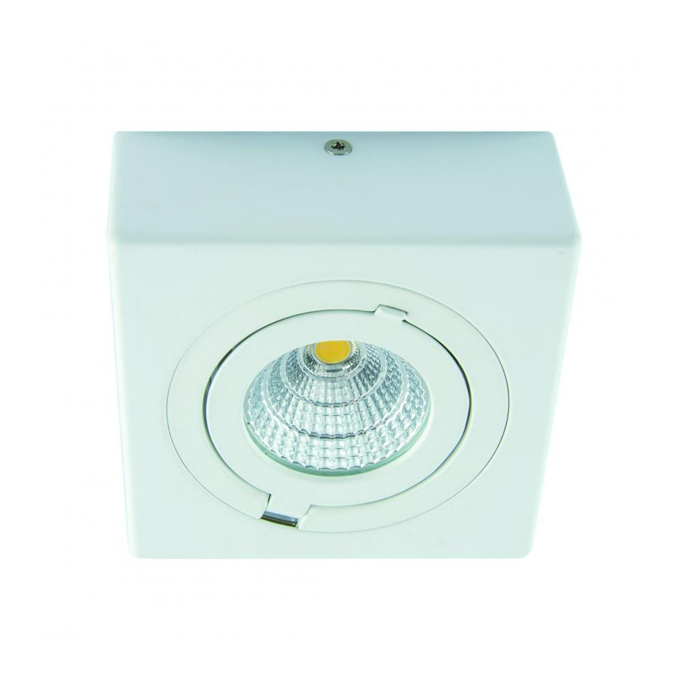igor-led-ceiling-light-white-9w-4000k