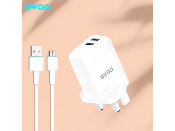 bwoo-uk-charging-plug-with-type-c-cable