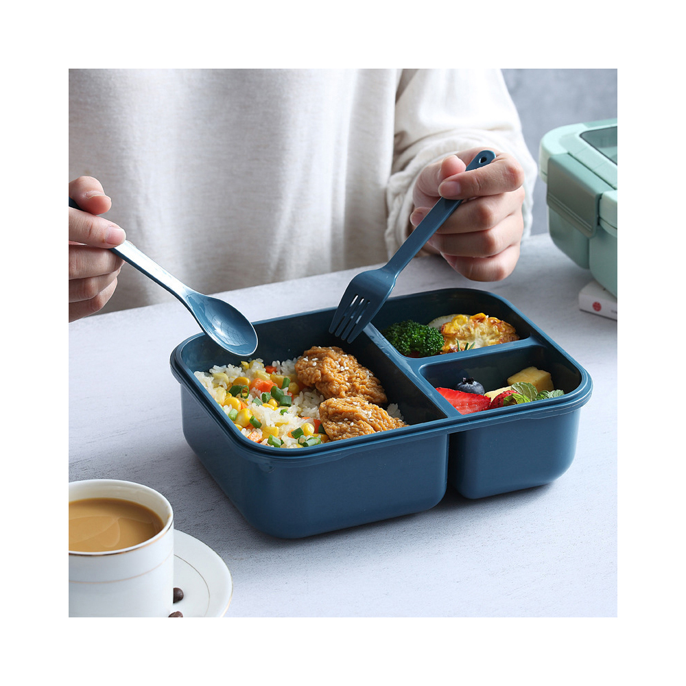 plastic-food-container-with-3-dividers-cutlery-2-assorted-colours