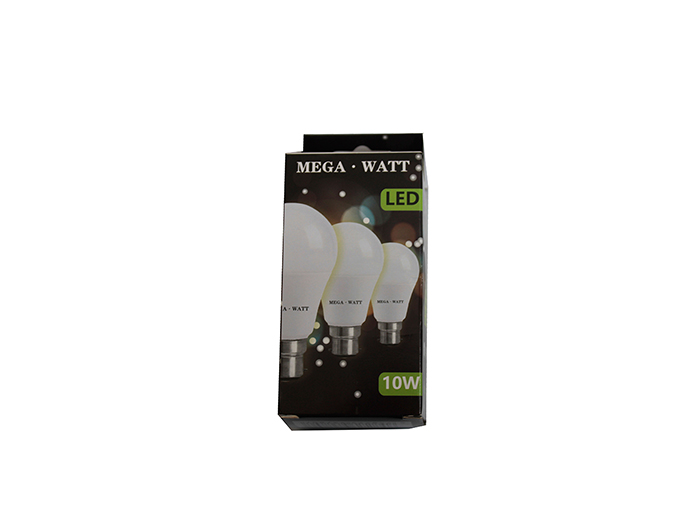 mega-watt-daylight-10w-b22