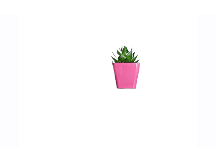 quadria-plastic-flower-pot-pink-gloss-14cm-x-14cm-x-13cm