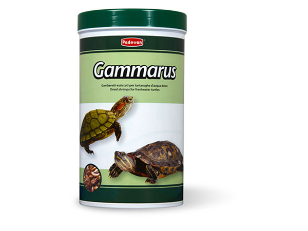padovan-gammarus-food-for-freshwater-turtles-dried-small-shrimps-130-g
