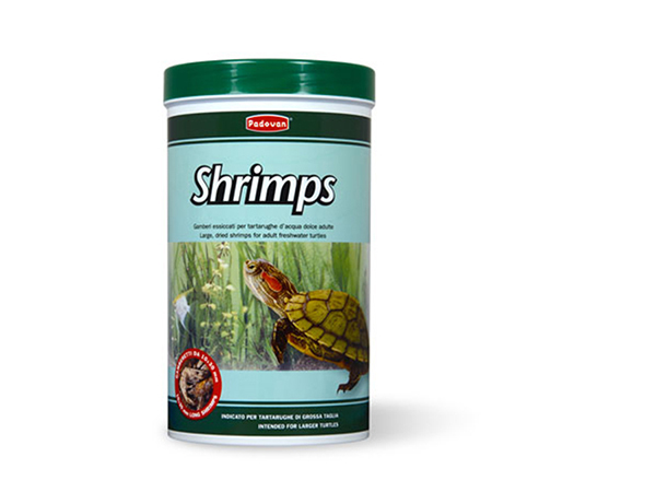 padovan-fishes-food-for-large-freshwater-turtles-160-g-1-l
