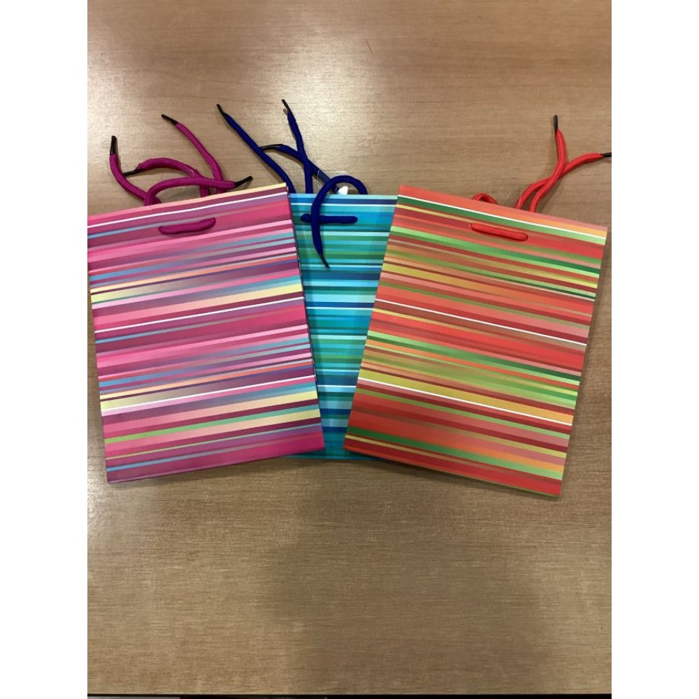 gift-bag-with-rope-handles-assorted