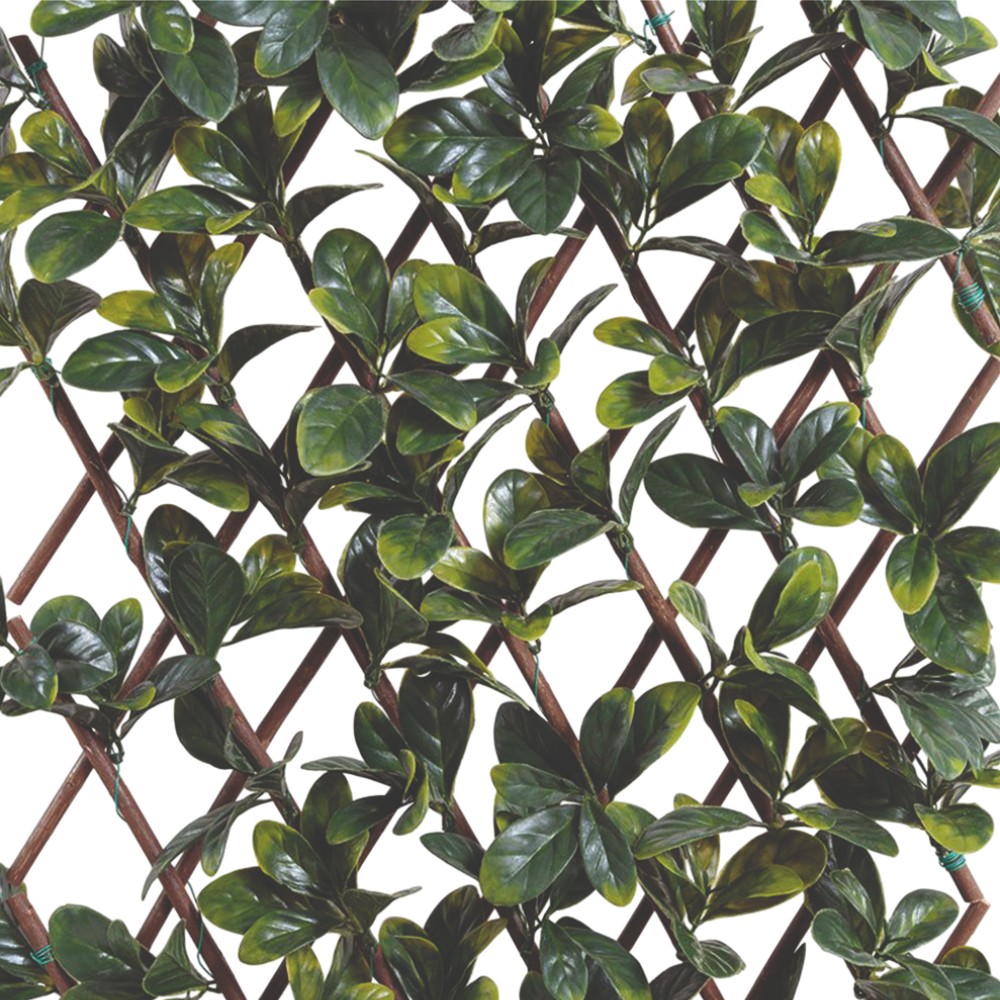 evergreen-trellis-with-laurel-leaves-1-x-2-m