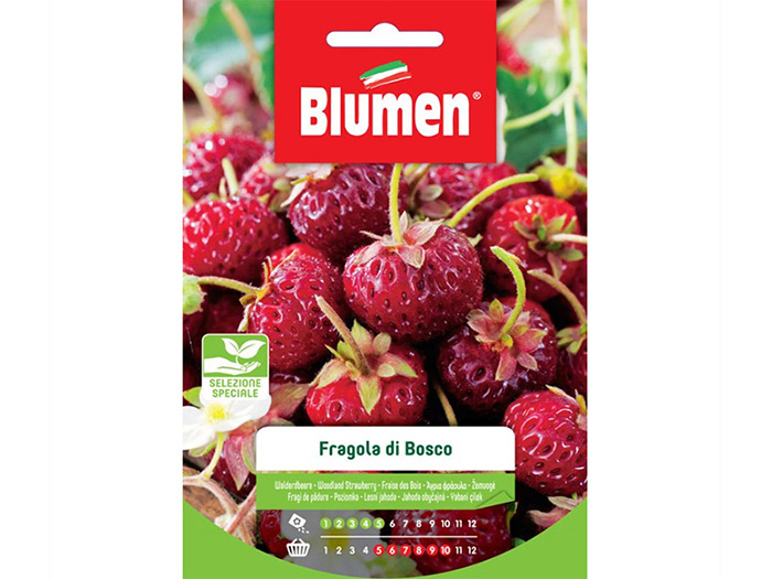 blumen-forest-strawberry-seeds-bag