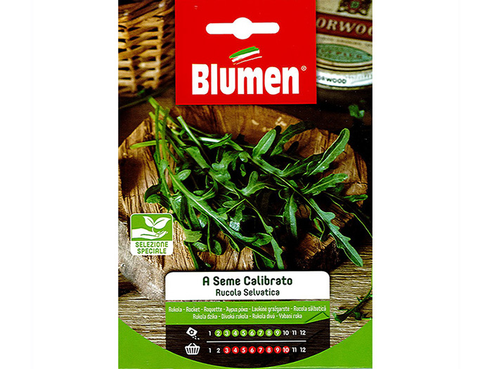 blumen-wild-rocket-seeds