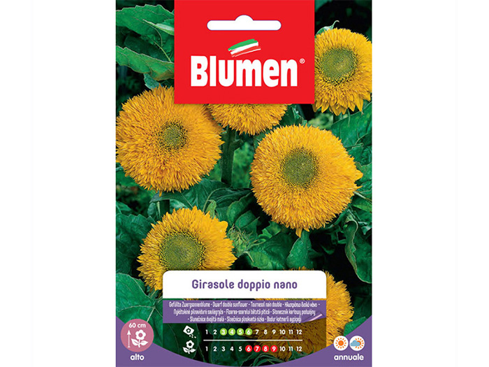 blumen-double-dwarf-sunflower-seeds-in-bag