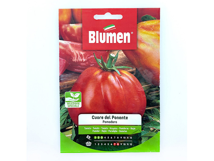 blumen-tomato-seeds-heart-of-the-ponente