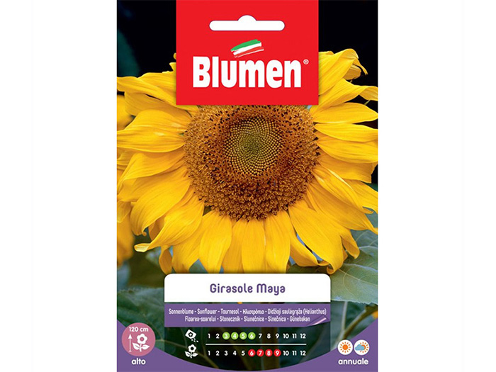 blumen-maya-sunflower-seeds