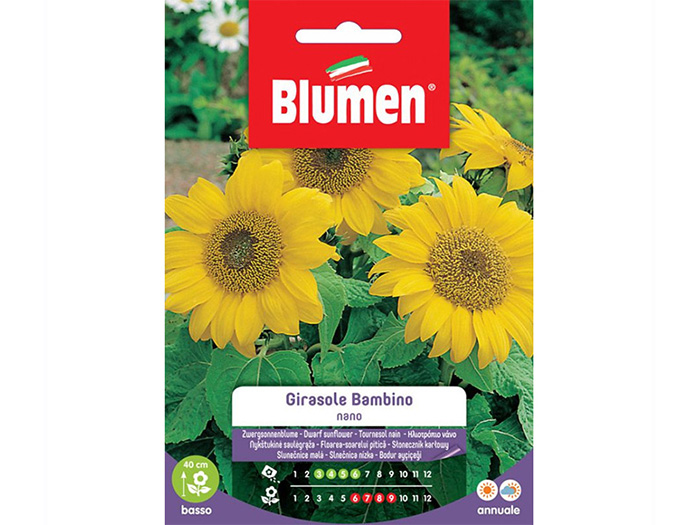 blumen-baby-dwarf-sunflower-seeds