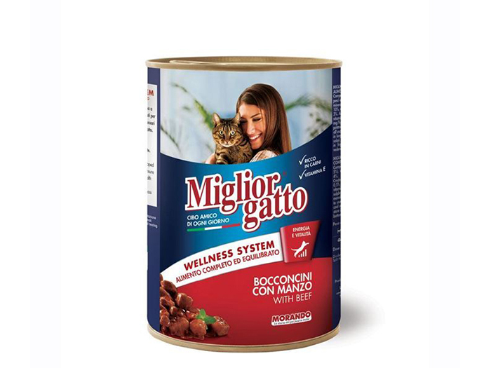 miglior-gatto-wellness-system-chunks-with-beef-wet-cat-food-405g