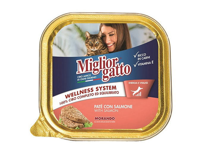 miglior-gatto-wellness-system-pate-with-salmon-wet-cat-food-100g