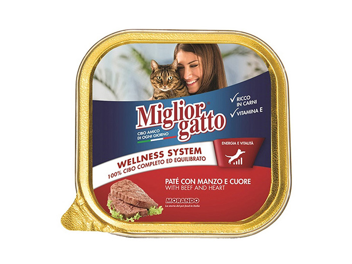 miglior-gatto-wellness-system-pate-with-beef-and-heart-wet-cat-food-100g