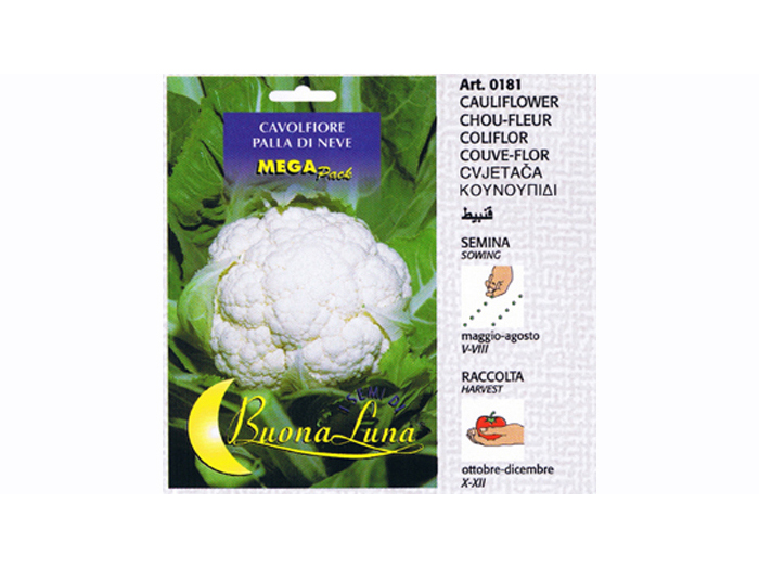 cauliflower-seeds