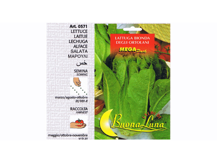 lettuce-plain-seeds