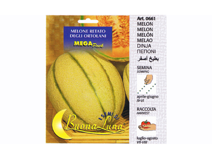 melon-seeds