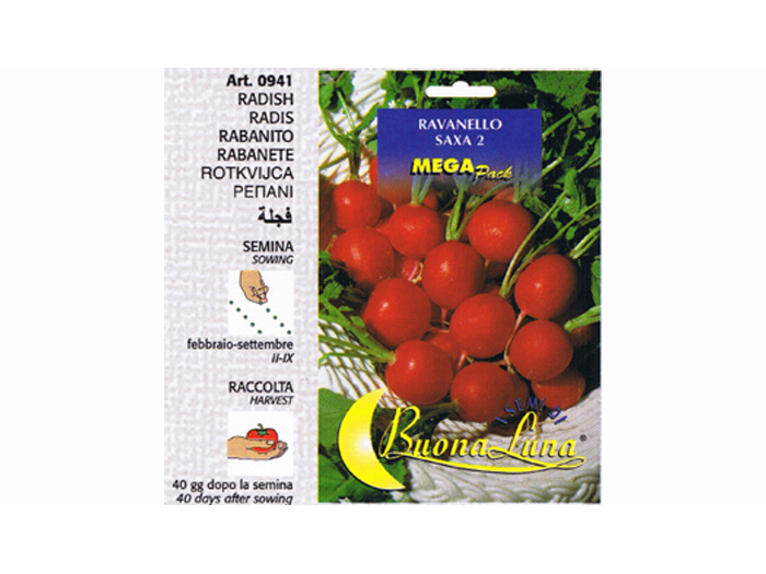 radish-round-seeds-830