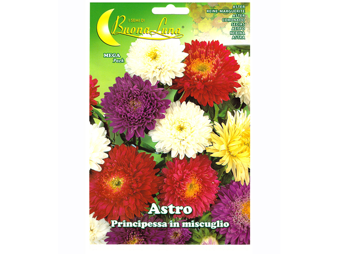 aster-flower-mega-pack-seeds