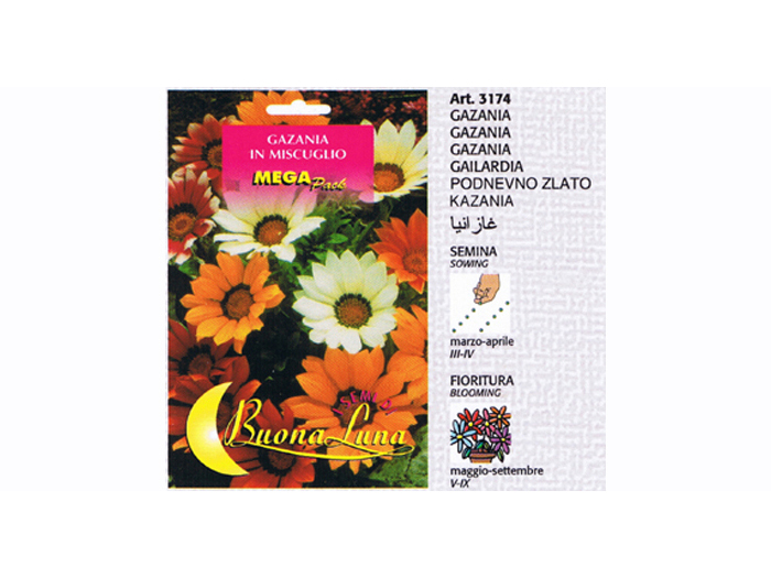 gazania-flower-seeds