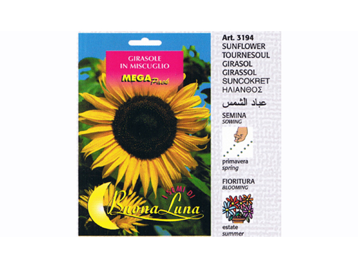 giant-sunflower-seeds-30-seeds