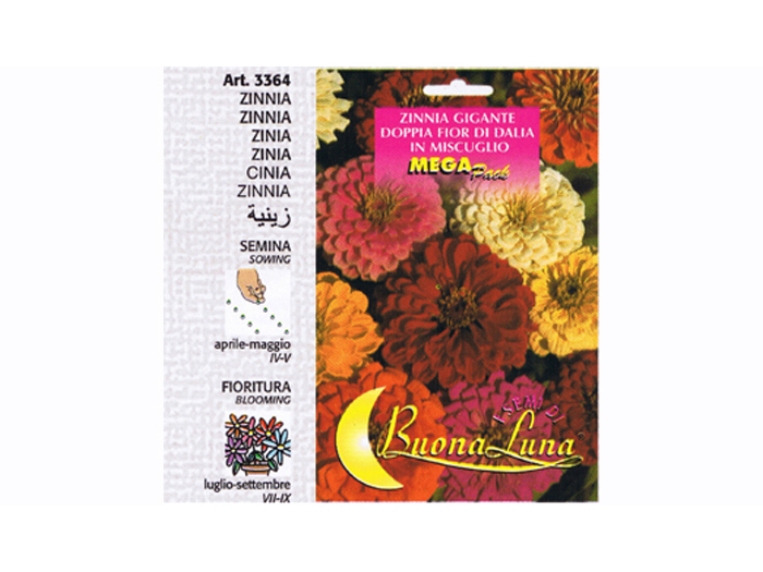 giant-zinnia-flower-seeds